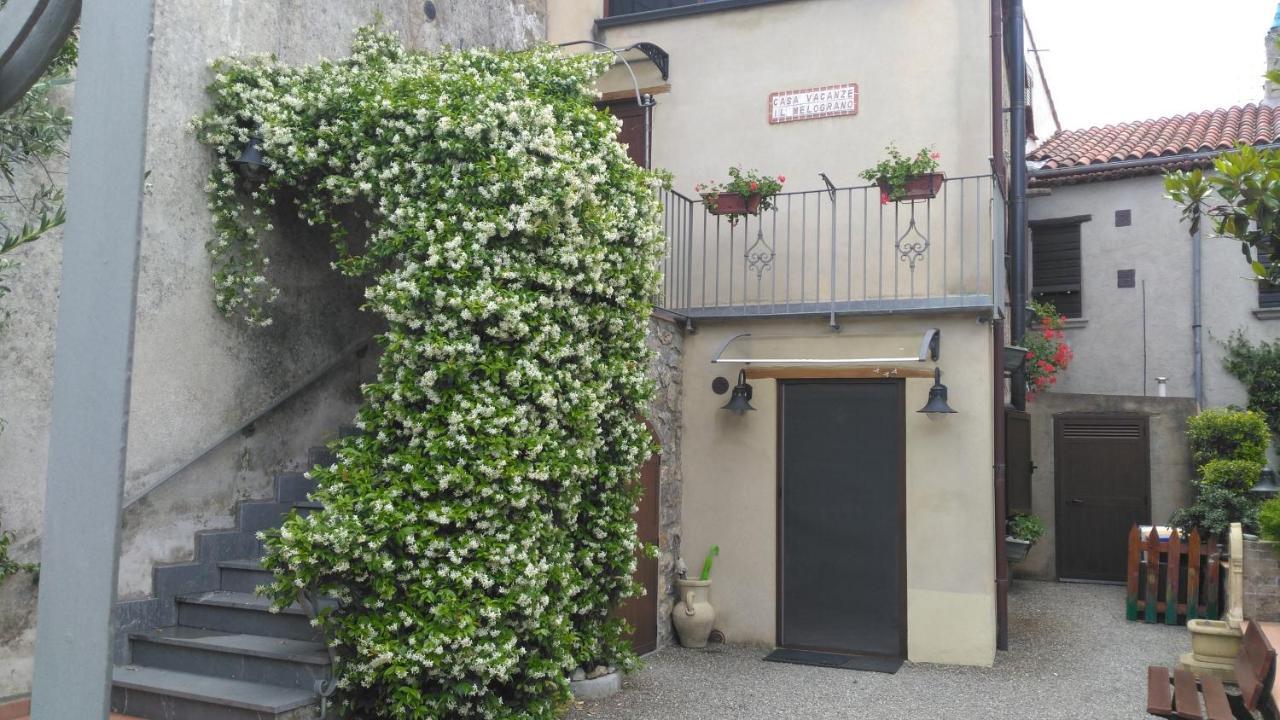 B&B Il Melograno Tortorella Eksteriør billede